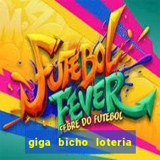 giga bicho loteria dos sonhos